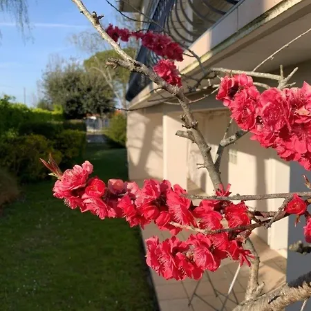 Villa Georges De Didonne - Maison Spacieuse Proche Centre Et *