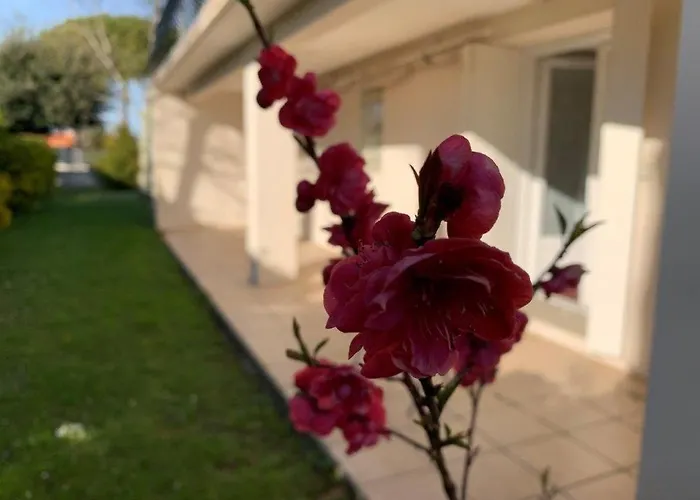 Georges De Didonne - Maison Spacieuse Proche Centre Et Saint-Georges-de-Didonne